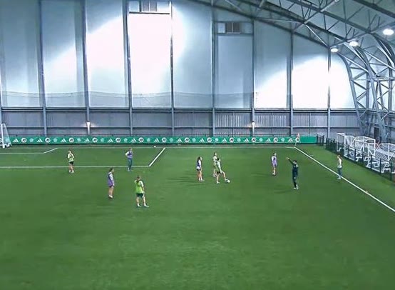 Players working in pairs on the indoor pitch